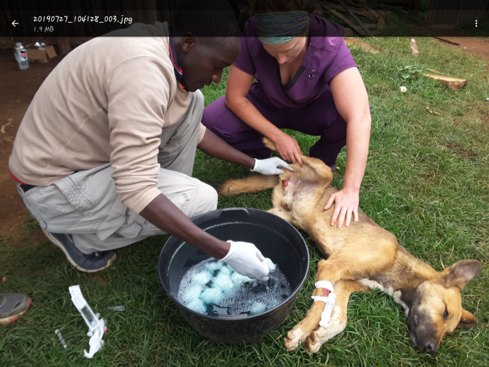 1.	Field veterinary work in Meru  