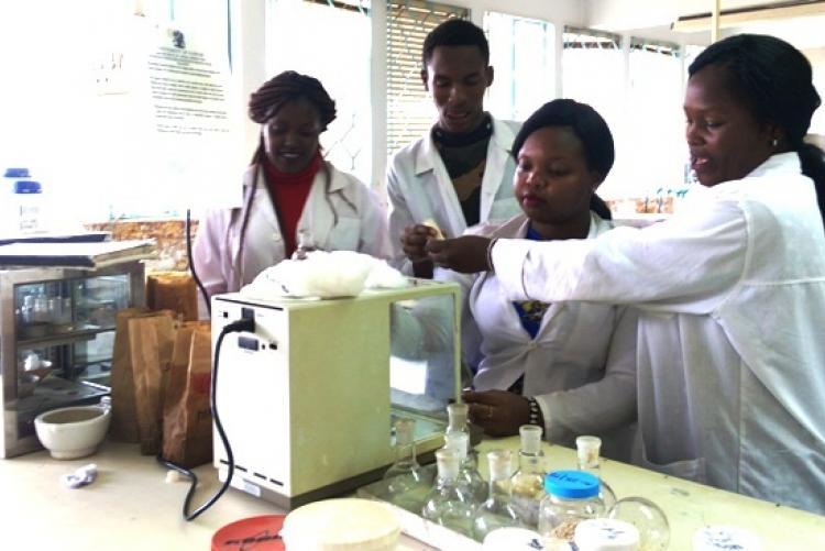 Industrial attachees from the Department of Food Science, Nutrition and Technology taking part in lab tests during an attachment program at the Department. 