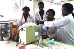 Industrial attachees from the Department of Food Science, Nutrition and Technology taking part in lab tests during an attachment program at the Department. 